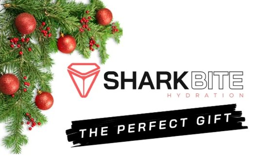 Hydration Stocking Stuffers: The Perfect Gifts for Fitness Enthusiasts - SHARKBITE HYDRATION
